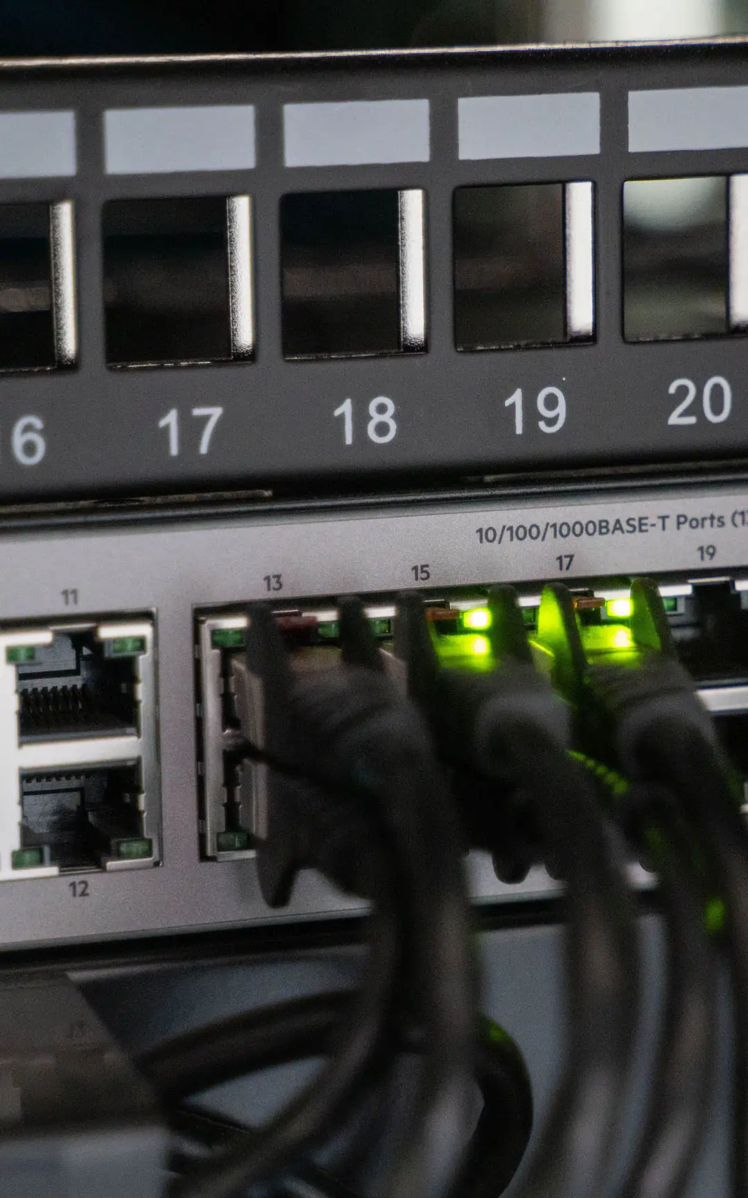 Close-up of patch cords plugged into the port panel of a network switch