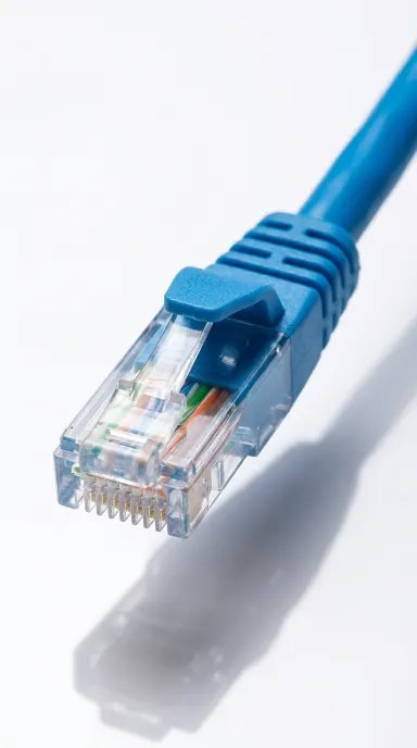 Patch cords plugged into the RJ45 ports of a network switch